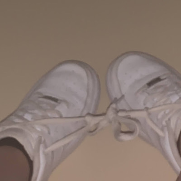 Meet your Posher, Cassidy - Picture 1 of 1